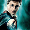 Harry Potter Clear Round Glasses