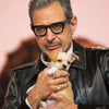Jeff Goldblum Style Horn Rimmed Clear Glasses