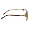 Greystone Metal Accent Rounded Clear Glasses
