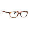 Haines Unisex Slim Rectangular Clear Glasses
