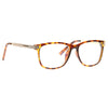 Salvo Slim Metal Accent Clear Horn Rimmed Glasses