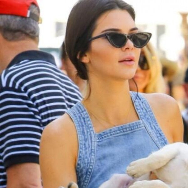 Kendall Jenner Style Cat Eye Celebrity Sunglasses